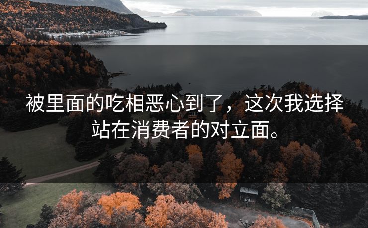 被里面的吃相恶心到了，这次我选择站在消费者的对立面。