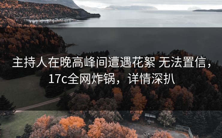 主持人在晚高峰间遭遇花絮 无法置信，17c全网炸锅，详情深扒