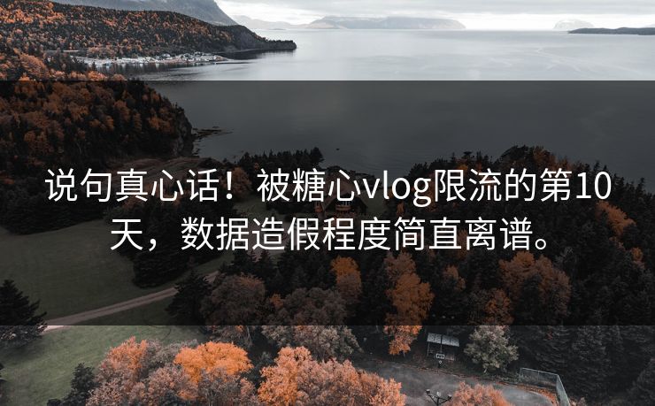 说句真心话！被糖心vlog限流的第10天，数据造假程度简直离谱。