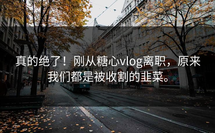 真的绝了！刚从糖心vlog离职，原来我们都是被收割的韭菜。