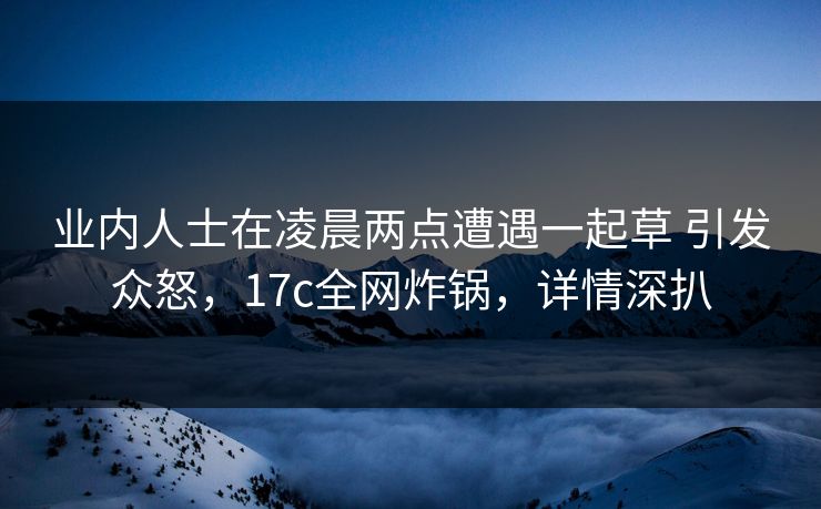 业内人士在凌晨两点遭遇一起草 引发众怒，17c全网炸锅，详情深扒