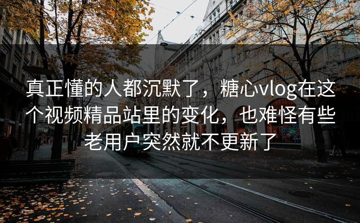 真正懂的人都沉默了，糖心vlog在这个视频精品站里的变化，也难怪有些老用户突然就不更新了